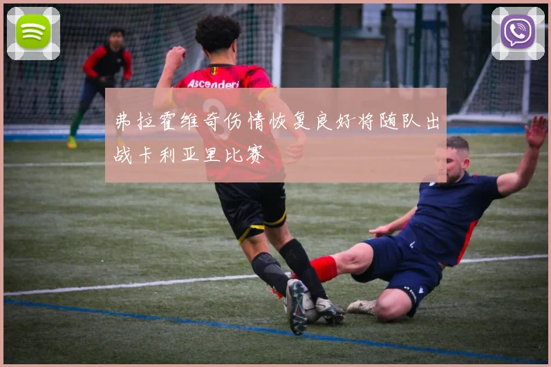 弗拉霍维奇伤情恢复良好将随队出战卡利亚里比赛
